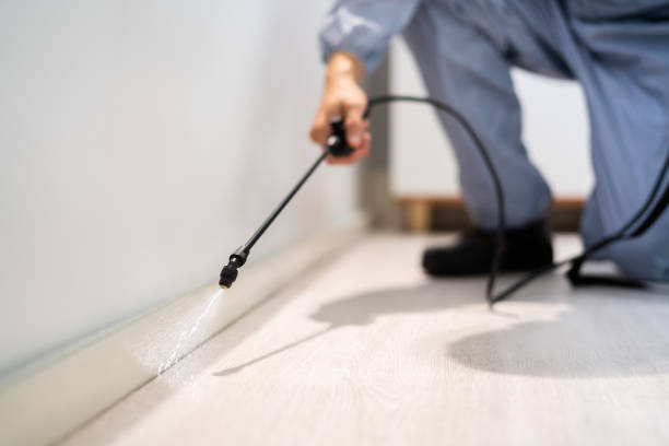 Rodent Entry Point Assessment in Rolling Hills Estates