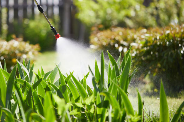 Tamper-Resistant Bait Stations for Rodents in Rolling Hills Estates