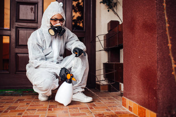 Attic and Crawl Space Rodent Treatment in Rolling Hills Estates